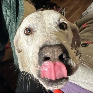 Meet your Posher, Ezra